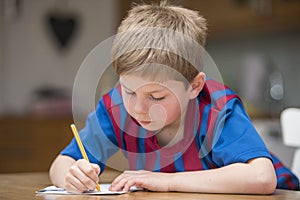 Boy doing homework