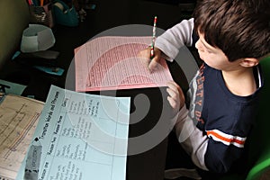 Boy doing homework photo