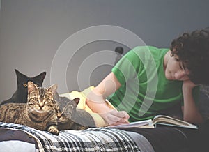 Boy Doing Homework with Three Cats on His Bed