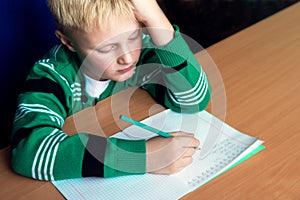 Boy doing school homework