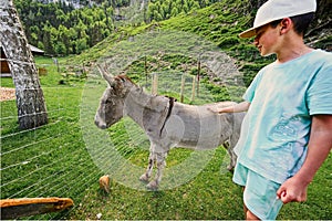 Boy with donkey at Untertauern wildpark, Austria