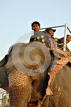 A boy drives an elephantThe village of Sauraha on the border of