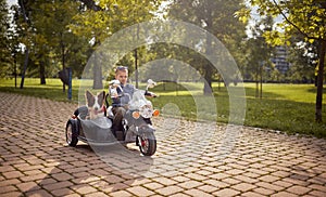 Boy driving electrical motorcycle toy on battery with sidecar and his dog in it