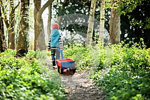 the boy is driving a red wagon along the path in the forest