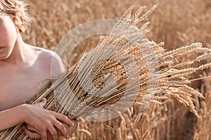 Boy with ears of corn in the field of cereal