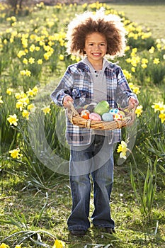 Boy On Easter Egg Hunt In Daffodil Field