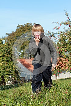 Boy eating an apple