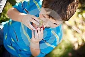 Boy eating an apple