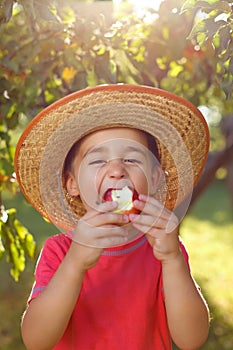 Boy eating apple in orchard