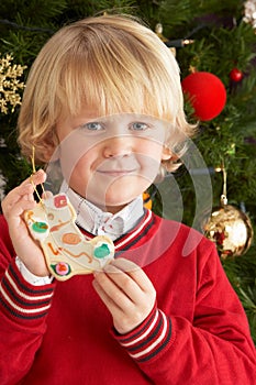 Boy Eating Cookie In Front Of Christmas Tree