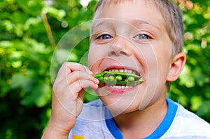 Boy eating a green Peas