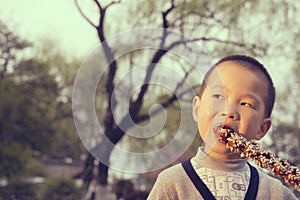 Boy eating sugarcoated haws photo