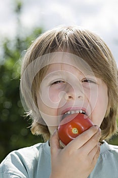 Boy Eating Tomato In Garden