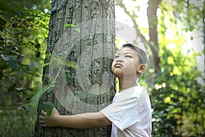 The boy embrace a tree