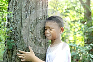 The boy embrace a tree