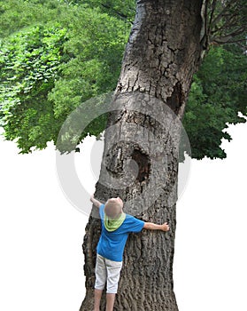 A boy embrancing a tree