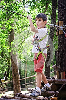 Boy enjoying activity in a climbing adventure park