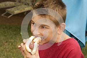 Boy Enjoying Hot Dog