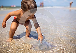 A boy examines a stranded jellyfish under the bright summer sun