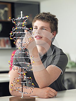 Boy Examining DNA Model