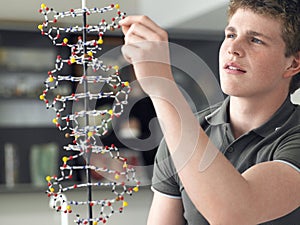 Boy Examining DNA Model