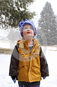 Boy experiencing wonder of winter
