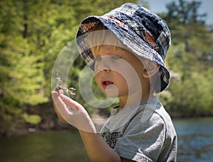 Boy Exploring Nature Finds a Dragonfly