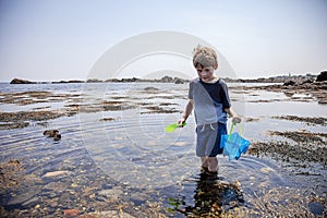 Boy exploring tide pools on New Hampshire coast