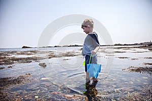 Boy exploring tide pools on New Hampshire coast