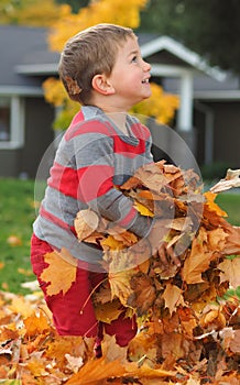 Boy in fall leaves