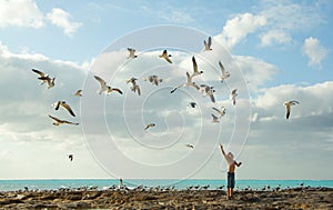 Boy feeding birds