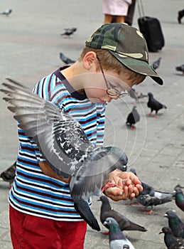 Boy is feeding the birds