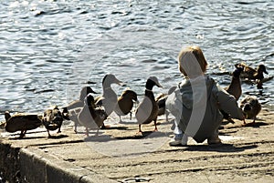 Boy feeding ducks