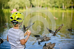 Boy feeding ducks and pigeons in the park by the lake