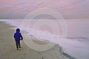 Boy feeding gulls on the beach. Little boy stands on beach the sea on cold windy day