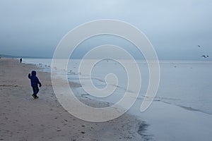 Boy feeding gulls on the beach. Little boy stands on beach the sea on cold windy day