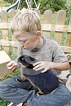 Boy feeding his pet rabbit