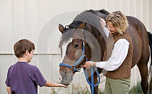 Ragazzo alimentazione un cavallo 