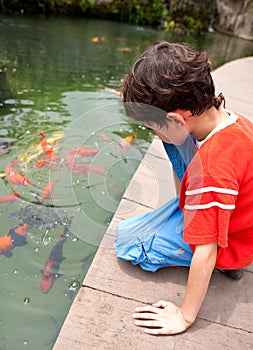Boy feeding Japanese koi fish in tropical pond