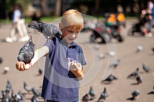 Boy feeding pigeons in the park. Selective focus.