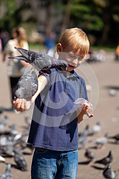 Boy feeding pigeons in the park. Selective focus.