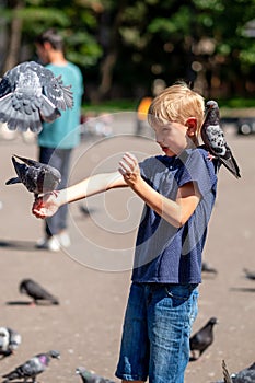 Boy feeding pigeons in the park. Selective focus.