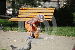 Boy feeding pigeons