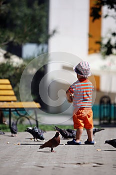 Boy feeding pigeons