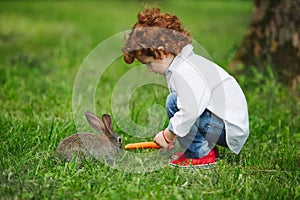 Boy feeding rabbit with carrot in park