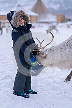 Boy feeding reindeer in the winter