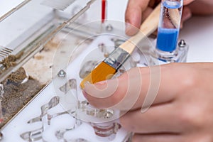 A boy feeding and taking care of ants messor in acrillic ant farm, formicarium