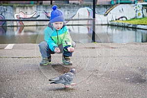 The boy feeds the pigeon