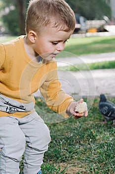 Boy feeds pigeons