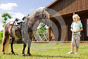 Boy feeling excited while coming closer to horse